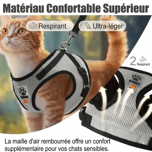 Collier pour animaux de compagnie, harnais, - TraKoo