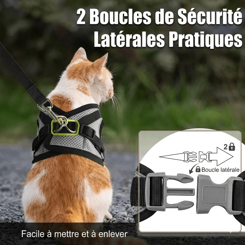 Collier pour animaux de compagnie, harnais, - TraKoo