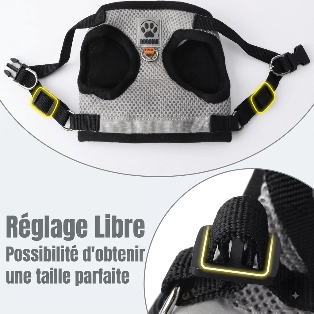 Collier pour animaux de compagnie, harnais, - TraKoo