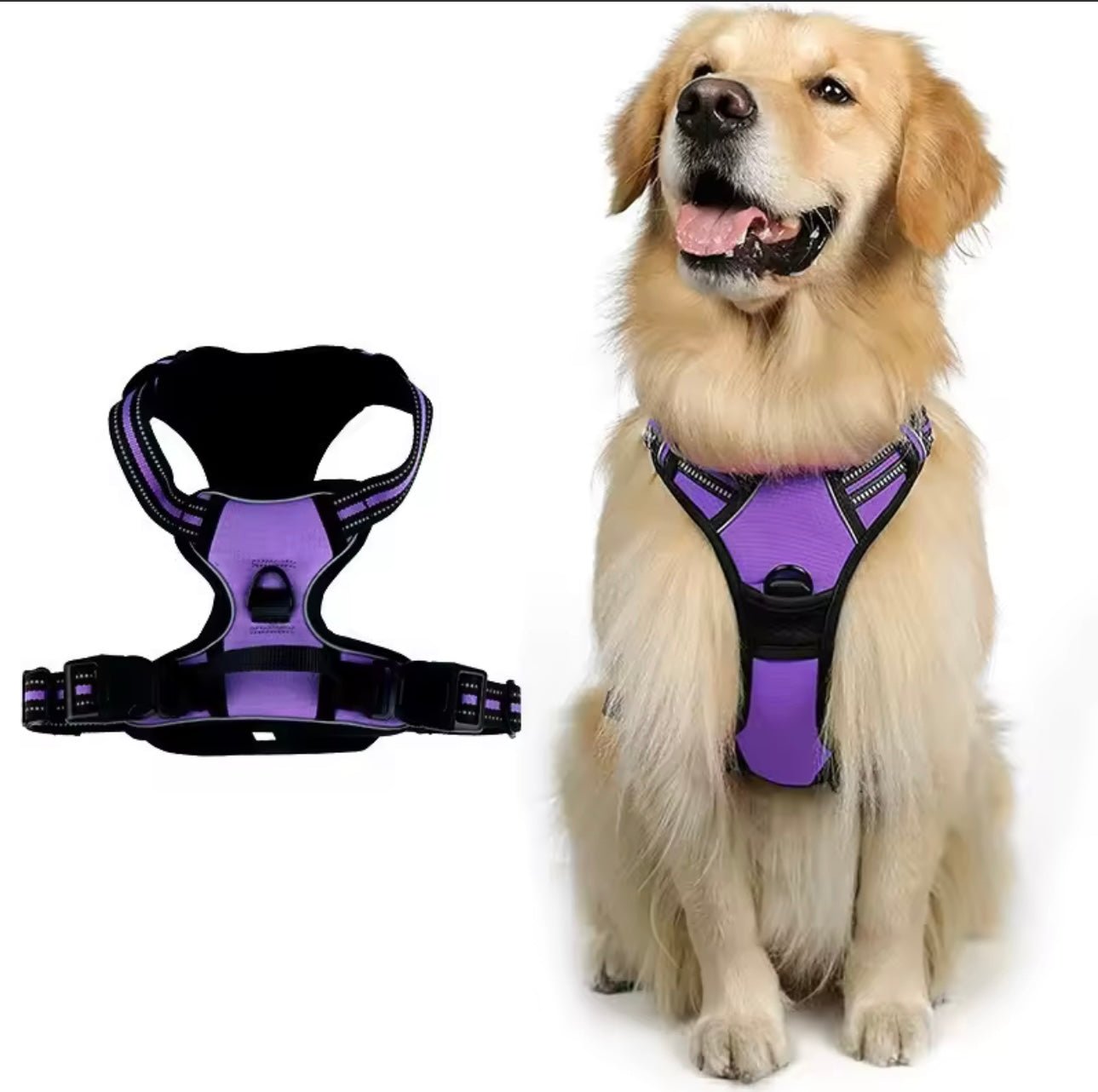 Harnais pour chien anti-traction avec clip frontal et bande réfléchissante, - TraKoo