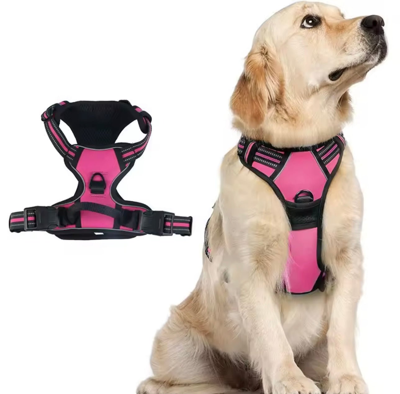 Harnais pour chien anti-traction avec clip frontal et bande réfléchissante, - TraKoo