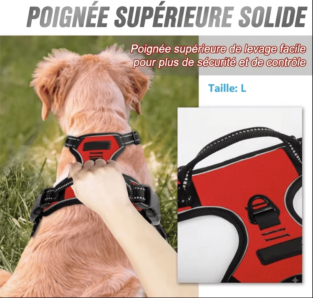 Harnais pour chien anti-traction avec clip frontal et bande réfléchissante, - TraKoo
